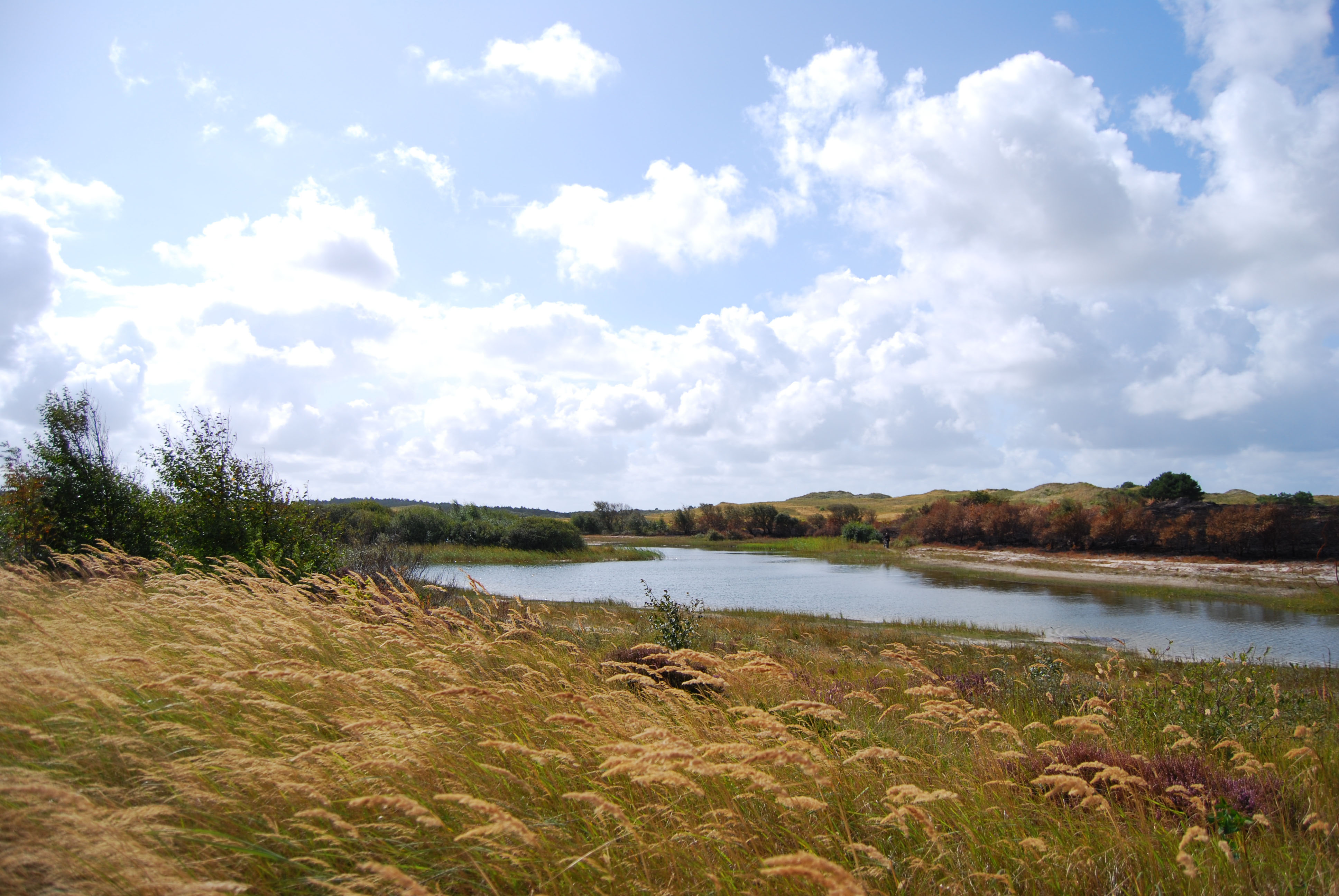 Vakantiewoning Schoorl en Groet